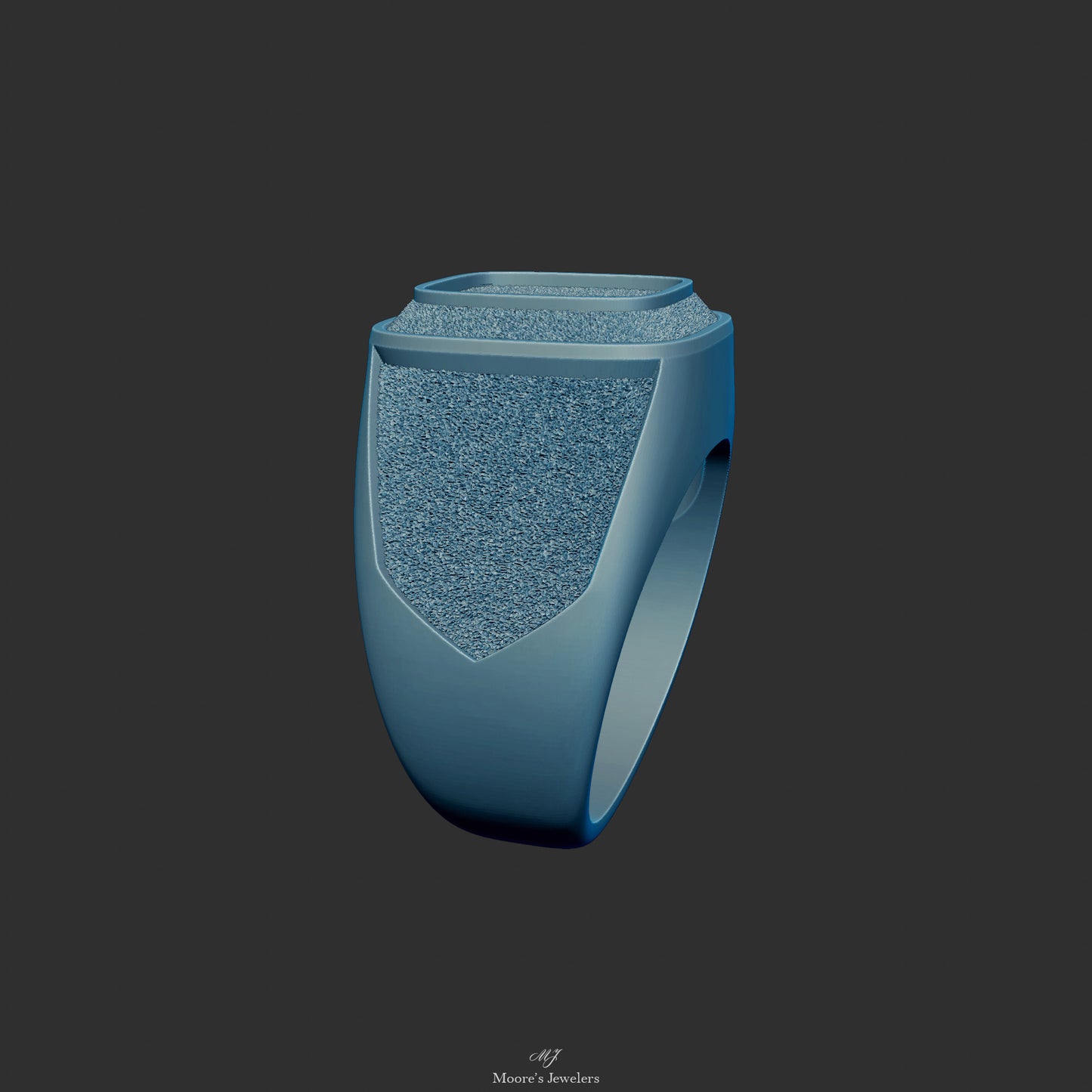 Textured or Smooth Class Ring 3d Model