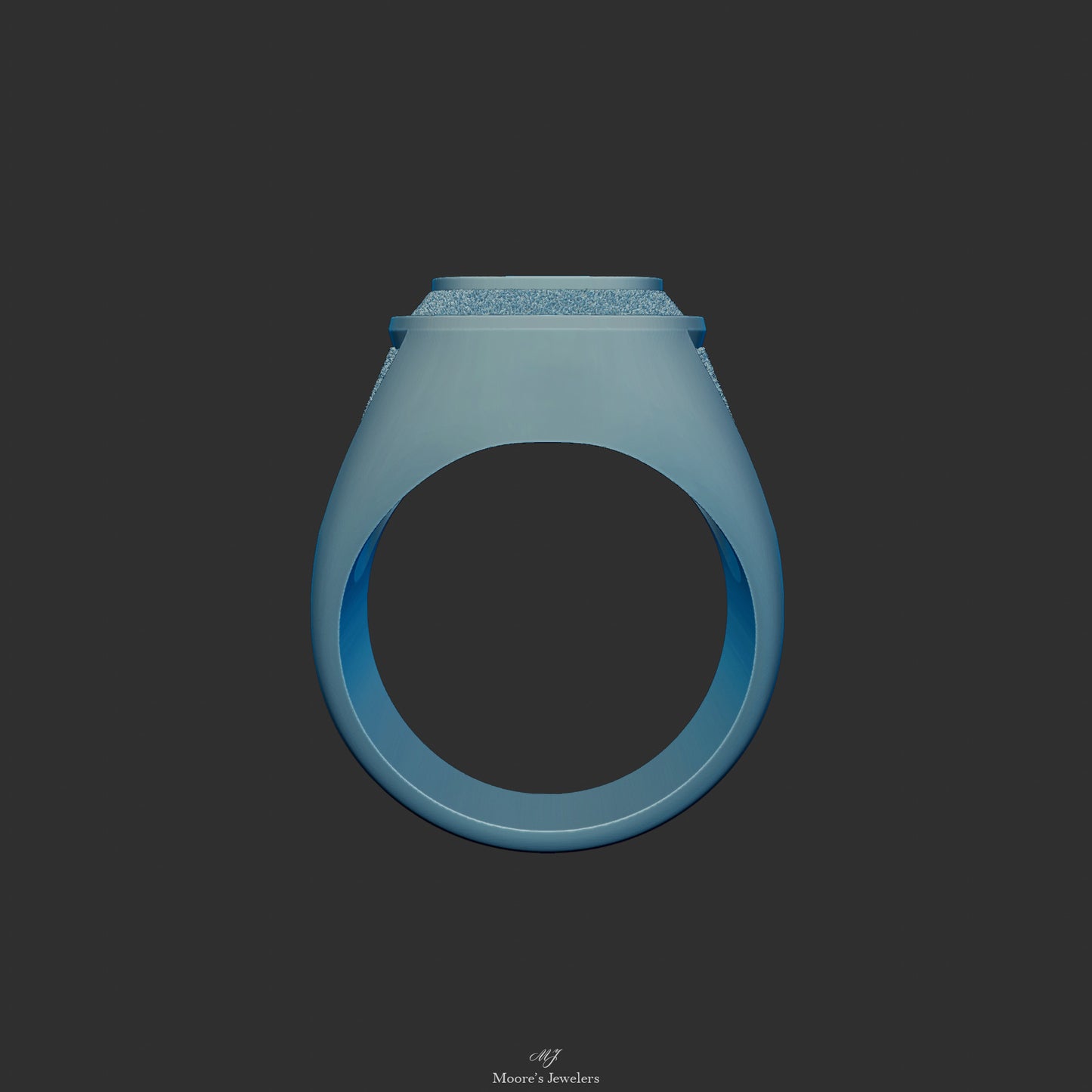 Textured or Smooth Class Ring 3d Model