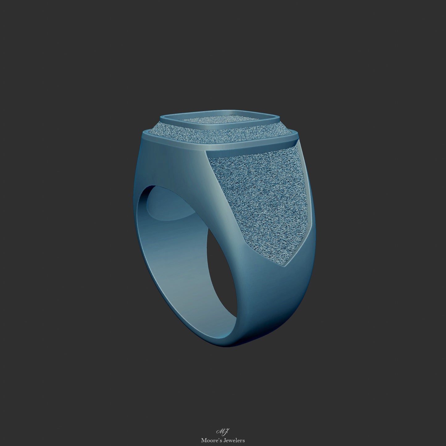 Textured or Smooth Class Ring 3d Model